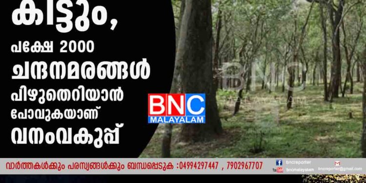 ഏറ്റവും വില കൂടിയ മരം ഒന്നിന് അഞ്ച് കോടി കിട്ടും, പക്ഷേ 2000 ചന്ദനമരങ്ങൾ പിഴുതെറിയാൻ പോവുകയാണ് വനംവകുപ്പ്