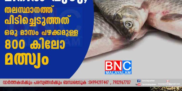 കാരക്കോണത്ത് മീനിൽ പുഴു; തലസ്ഥാനത്ത് പിടിച്ചെടുത്തത് ഒരു മാസം പഴക്കമുള്ള 800 കിലോ മത്സ്യം