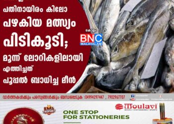 കൊല്ലത്ത് പതിനായിരം കിലോ പഴകിയ മത്സ്യം പിടികൂടി; മൂന്ന് ലോറികളിലായി എത്തിച്ചത് പൂപ്പൽ ബാധിച്ച മീൻ