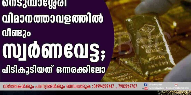 നെടുമ്പാശ്ശേരി വിമാനത്താവളത്തിൽ വീണ്ടും സ്വർണവേട്ട; പിടികൂടിയത് ഒന്നരക്കിലോ