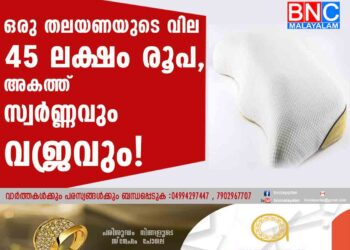 ഒരു തലയണയുടെ വില 45 ലക്ഷം രൂപ, അകത്ത് സ്വർണ്ണവും വജ്രവും!