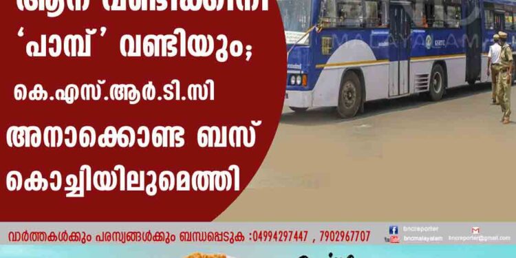 'ആന'വണ്ടിക്കിനി 'പാമ്പ്' വണ്ടിയും ;കെ.എസ്.ആര്‍.ടി.സി  അനാക്കൊണ്ട ബസ് കൊച്ചിയിലുമെത്തി