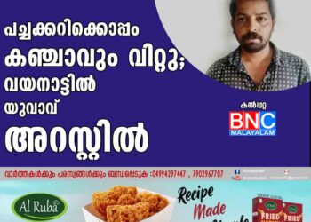 പച്ചക്കറിക്കൊപ്പം കഞ്ചാവും വിറ്റു; വയനാട്ടില്‍ യുവാവ് അറസ്റ്റില്‍