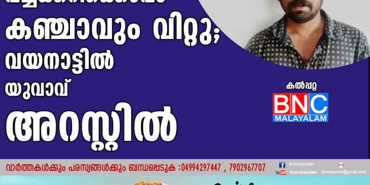 പച്ചക്കറിക്കൊപ്പം കഞ്ചാവും വിറ്റു; വയനാട്ടില്‍ യുവാവ് അറസ്റ്റില്‍