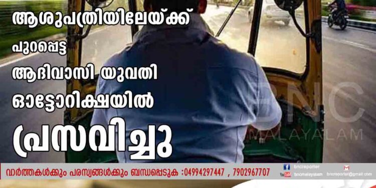 പ്രസവവേദനയെ തുടർന്ന് ആശുപത്രിയിലേയ്ക്ക് പുറപ്പെട്ട ആദിവാസി യുവതി ഓട്ടോറിക്ഷയിൽ പ്രസവിച്ചു