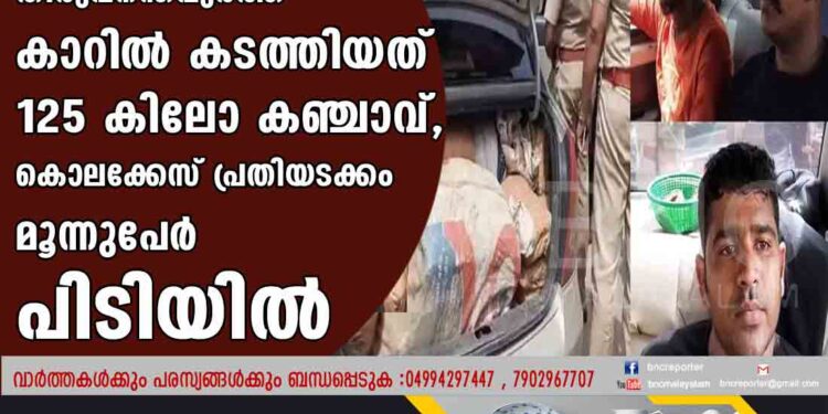 തിരുവനന്തപുരത്ത്   കാറില്‍ കടത്തിയത് 125 കിലോ കഞ്ചാവ്, കൊലക്കേസ് പ്രതിയടക്കം മൂന്നുപേര്‍ 
 പിടിയില്‍