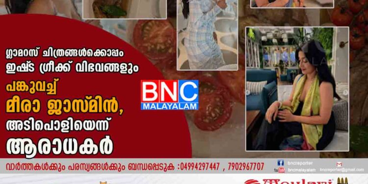 ഗ്ലാമറസ് ചിത്രങ്ങൾക്കൊപ്പം ഇഷ്‌ട ഗ്രീക്ക് വിഭവങ്ങളും പങ്കുവച്ച് മീരാ ജാസ്‌മിൻ, അടിപൊളിയെന്ന് ആരാധകർ