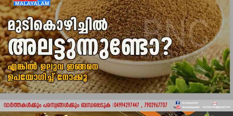 മുടികൊഴിച്ചിൽ അലട്ടുന്നുണ്ടോ? എങ്കിൽ ഉലുവ ഇങ്ങനെ ഉപയോ​ഗിച്ച് നോക്കൂ