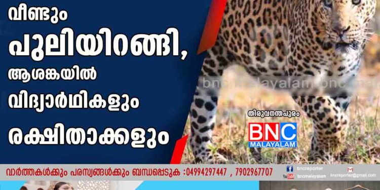 സ്‌കൂളിന് സമീപം വീണ്ടും പുലിയിറങ്ങി, ആശങ്കയില്‍ വിദ്യാര്‍ഥികളും രക്ഷിതാക്കളും