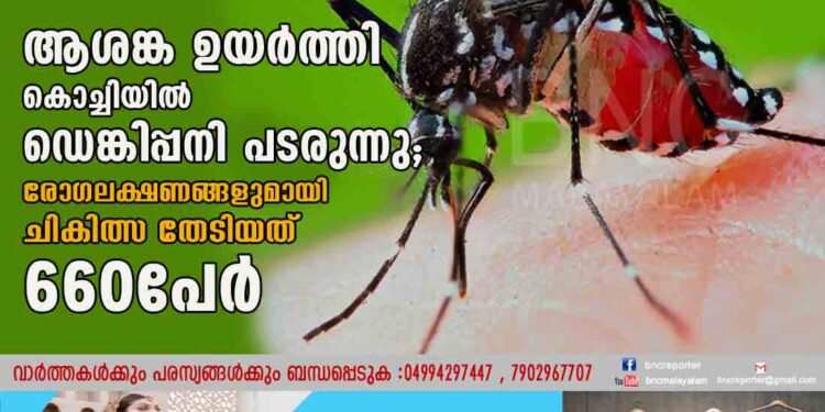 ആശങ്ക ഉയർത്തി കൊച്ചിയിൽ ഡെങ്കിപ്പനി പടരുന്നു; രോഗലക്ഷണങ്ങളുമായി ചികിത്സ തേടിയത് 660പേർ