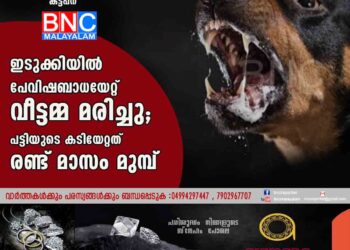 ഇടുക്കിയിൽ പേവിഷബാധയേറ്റ് വീട്ടമ്മ മരിച്ചു; പട്ടിയുടെ കടിയേറ്റത് രണ്ട് മാസം മുമ്പ്