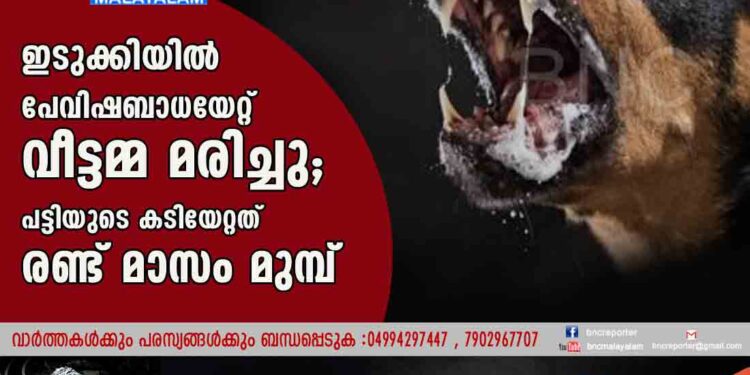 ഇടുക്കിയിൽ പേവിഷബാധയേറ്റ് വീട്ടമ്മ മരിച്ചു; പട്ടിയുടെ കടിയേറ്റത് രണ്ട് മാസം മുമ്പ്