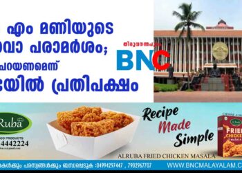 എം എം മണിയുടെ വിധവാ പരാമര്‍ശം; മാപ്പ് പറയണമെന്ന് സഭയിൽ പ്രതിപക്ഷം