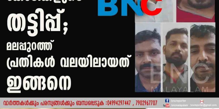 വ്യാജ ആംബർ​ഗ്രിസ് നൽകി കോടികളുടെ തട്ടിപ്പ്; മലപ്പുറത്ത് പ്രതികൾ വലയിലായത് ഇങ്ങനെ