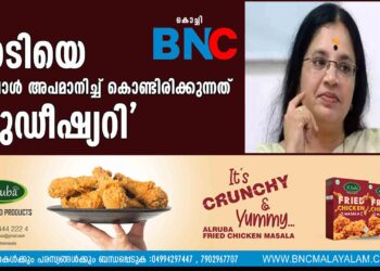 'നടിയെ ഇപ്പോൾ അപമാനിച്ച് കൊണ്ടിരിക്കുന്നത് ജുഡീഷ്യറി'