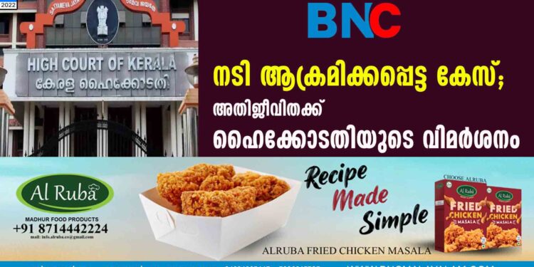 നടി ആക്രമിക്കപ്പെട്ട കേസ്; അതിജീവിതക്ക് ഹൈക്കോടതിയുടെ വിമര്‍ശനം