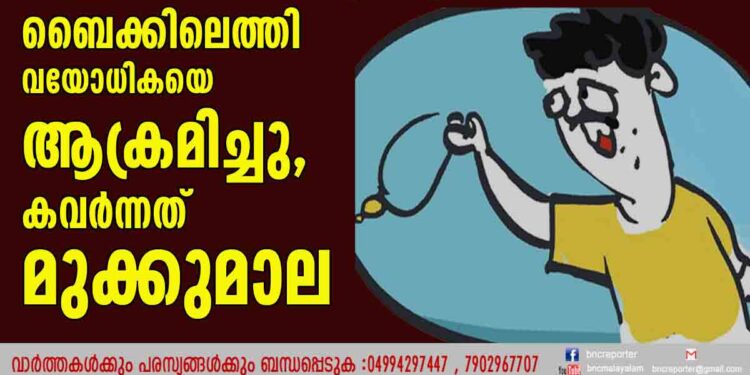 കള്ളാ... അത് മുക്കുപണ്ടമാണ്; ബൈക്കിലെത്തി വയോധികയെ ആക്രമിച്ചു, കവര്‍ന്നത് മുക്കുമാല