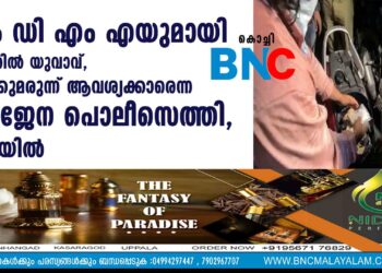 എംഡിഎംഎയുമായി കലൂരില്‍ യുവാവ്, മയക്കുമരുന്ന് ആവശ്യക്കാരെന്ന വ്യാജേന പൊലീസെത്തി, പിടിയില്‍