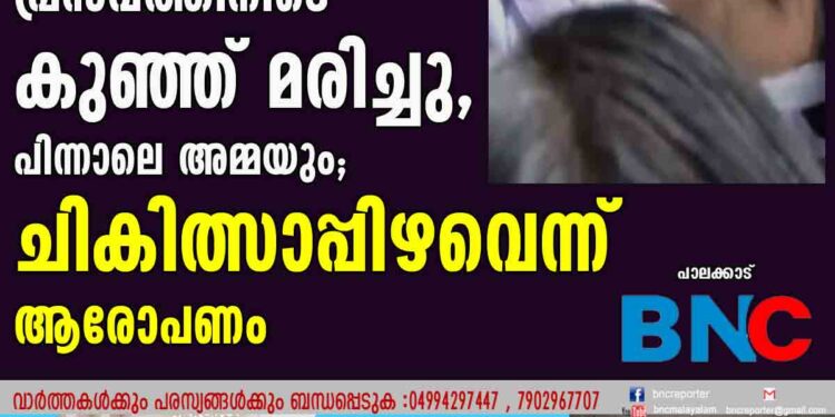 പ്രസവത്തിനിടെ കുഞ്ഞ് മരിച്ചു, പിന്നാലെ അമ്മയും; ചികിത്സാപ്പിഴവെന്ന് ആരോപണം