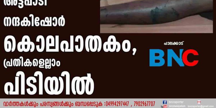 അട്ടപ്പാടി നന്ദകിഷോർ കൊലപാതകം,പ്രതികളെല്ലാം പിടിയിൽ