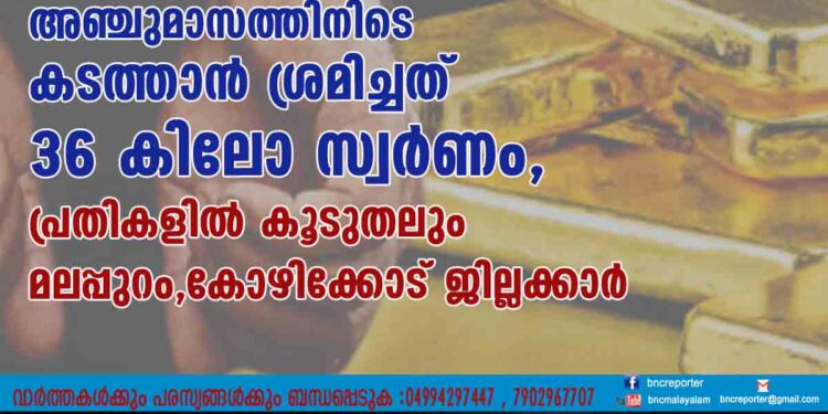 അഞ്ചുമാസത്തിനിടെ കടത്താൻ ശ്രമിച്ചത് 36 കിലോ സ്വർണം, പ്രതികളിൽ കൂടുതലും മലപ്പുറം,കോഴിക്കോട് ജില്ലക്കാർ