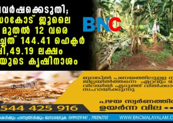 സറകോട് ജൂലൈ എട്ട് മുതല്‍ 12 വരെ നശിച്ചത് 144.41 ഹെക്ടര്‍ കൃഷി 49.19 ലക്ഷം രൂപയുടെ കൃഷിനാശം