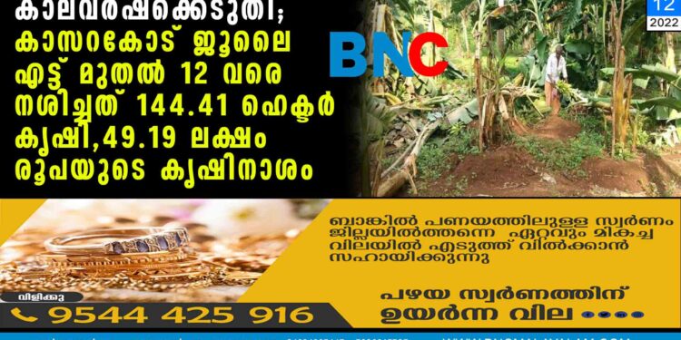 സറകോട് ജൂലൈ എട്ട് മുതല്‍ 12 വരെ നശിച്ചത് 144.41 ഹെക്ടര്‍ കൃഷി 49.19 ലക്ഷം രൂപയുടെ കൃഷിനാശം