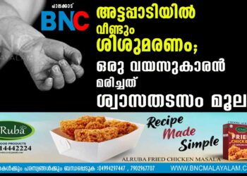 അട്ടപ്പാടിയിൽ വീണ്ടും ശിശുമരണം; ഒരു വയസുകാരൻ മരിച്ചത് ശ്വാസതടസം മൂലം