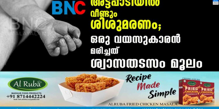 അട്ടപ്പാടിയിൽ വീണ്ടും ശിശുമരണം; ഒരു വയസുകാരൻ മരിച്ചത് ശ്വാസതടസം മൂലം