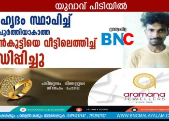 സൗഹൃദം സ്ഥാപിച്ച് പ്രായപൂര്‍ത്തിയാകാത്ത പെണ്‍കുട്ടിയെ വീട്ടിലെത്തിച്ച് പീഡിപ്പിച്ചു