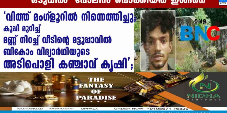 'വിത്ത് മംഗ്‌ളൂറില്‍ നിന്നെത്തിച്ചു; കുപ്പി മുറിച്ച് മണ്ണ് നിറച്ച് വീടിന്റെ മട്ടുപ്പാവില്‍  ബികോം വിദ്യാര്‍ഥിയുടെ   അടിപൊളി കഞ്ചാവ് കൃഷി';