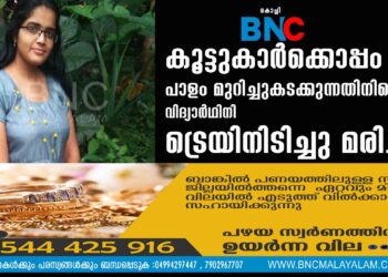 കൂട്ടുകാര്‍ക്കൊപ്പം പാളം മുറിച്ചുകടക്കുന്നതിനിടെ വിദ്യാര്‍ഥിനി ട്രെയിനിടിച്ചു മരിച്ചു