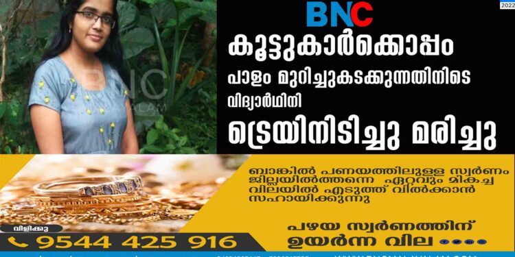 കൂട്ടുകാര്‍ക്കൊപ്പം പാളം മുറിച്ചുകടക്കുന്നതിനിടെ വിദ്യാര്‍ഥിനി ട്രെയിനിടിച്ചു മരിച്ചു