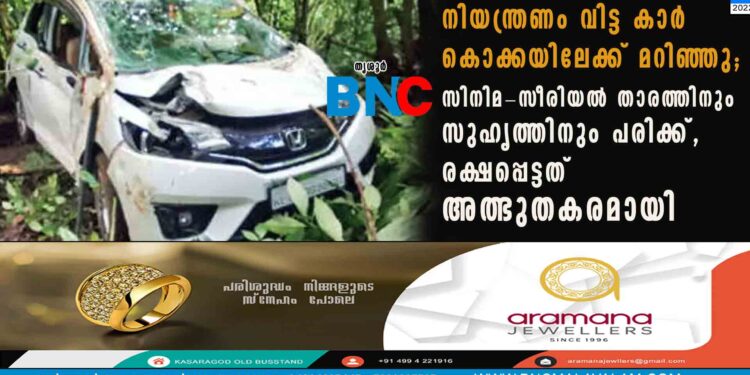 നിയന്ത്രണം വിട്ട കാർ കൊക്കയിലേക്ക് മറിഞ്ഞു; സിനിമ-സീരിയൽ താരത്തിനും സുഹൃത്തിനും പരിക്ക്, രക്ഷപ്പെട്ടത് അത്ഭുതകരമായി