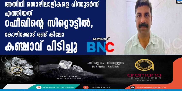 അതിഥി തൊഴിലാളികളെ പിന്തുടർന്ന് എത്തിയത് റഫീഖിന്റെ സിറ്റൌട്ടിൽ, കോഴിക്കോട് രണ്ട് കിലോ കഞ്ചാവ് പിടിച്ചു