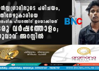 ഇൻസ്റ്റഗ്രാമിലൂടെ പരിചയം, പതിനേഴുകാരിയെ ലൈംഗിക പീഡനത്തിന് ഇരയാക്കിയത് ഒരു വർഷത്തോളം; യുവാവ് അറസ്റ്റിൽ