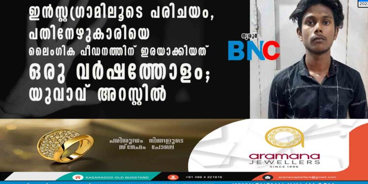 ഇൻസ്റ്റഗ്രാമിലൂടെ പരിചയം, പതിനേഴുകാരിയെ ലൈംഗിക പീഡനത്തിന് ഇരയാക്കിയത് ഒരു വർഷത്തോളം; യുവാവ് അറസ്റ്റിൽ