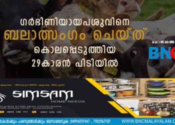 ഗർഭിണിയായ പശുവിനെ ബലാത്സംഗം ചെയ്ത് കൊലപ്പെടുത്തിയ 29കാരൻ പിടിയിൽ