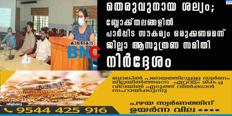 തെരുവുനായ ശല്യം; ബ്ലോക്ക്തലങ്ങളില്‍ പാര്‍പ്പിട സൗകര്യം ഒരുക്കണമെന്ന് ജില്ലാ ആസൂത്രണ സമിതി നിര്‍ദ്ദേശം