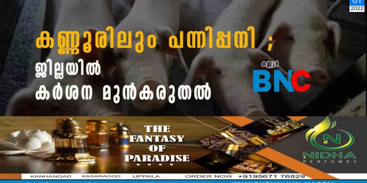 കണ്ണൂരിലും പന്നിപ്പനി ; ജില്ലയിൽ കര്‍ശന മുൻകരുതൽ