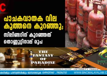 പാചകവാതക വില കുത്തനെ കുറഞ്ഞു; സിലിണ്ടറിന് കുറഞ്ഞത് തൊണ്ണൂറ്റിനാല് രൂപ