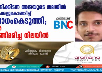 ഉറങ്ങിക്കിടന്ന അമ്മയുടെ തലയിൽ അമ്മിക്കല്ലുകൊണ്ടടിച്ച് ബോധംകെടുത്തി; മകൻ തൂങ്ങിമരിച്ച നിലയിൽ