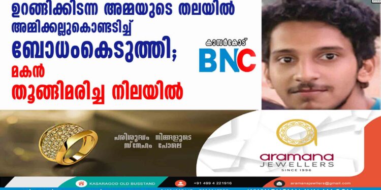 ഉറങ്ങിക്കിടന്ന അമ്മയുടെ തലയിൽ അമ്മിക്കല്ലുകൊണ്ടടിച്ച് ബോധംകെടുത്തി; മകൻ തൂങ്ങിമരിച്ച നിലയിൽ