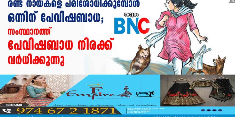 രണ്ട് നായകളെ പരിശോധിക്കുമ്പോൾ ഒന്നിന് പേവിഷബാധ; സംസ്ഥാനത്ത് പേവിഷബാധ നിരക്ക് വര്‍ധിക്കുന്നു