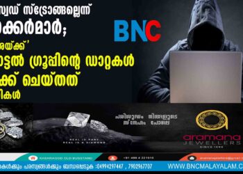 പാസ്വേഡ് സ്ട്രോങ്ങല്ലെന്ന് ഹാക്കർമാർ; 'തമാശയ്ക്ക്' ഹോട്ടൽ ​ഗ്രൂപ്പിന്റെ ഡാറ്റകൾ ഹാക്ക് ചെയ്തത് ദമ്പതികൾ