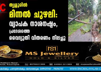 തൃശ്ശൂരില്‍ മിന്നല്‍ ചുഴലി: വ്യാപക നാശനഷ്ടം, പ്രദേശത്തെ വൈദ്യുതി വിതരണം നിലച്ചു