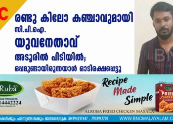 രണ്ടു കിലോ കഞ്ചാവുമായി സി.പി.ഐ. യുവനേതാവ് അടൂരില്‍ പിടിയില്‍; ഒപ്പമുണ്ടായിരുന്നയാള്‍ ഓടിരക്ഷപ്പെട്ടു