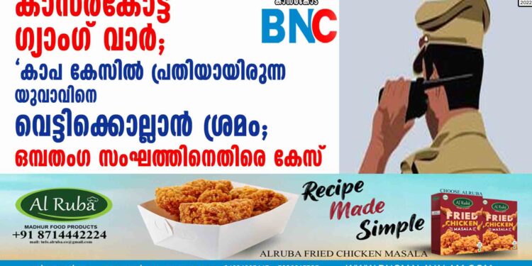 കാസർകോട്ട് ഗ്യാംഗ് വാർ; 'കാപ കേസിൽ പ്രതിയായിരുന്ന യുവാവിനെ വെട്ടിക്കൊല്ലാൻ ശ്രമം; ഒമ്പതംഗ സംഘത്തിനെതിരെ കേസ്