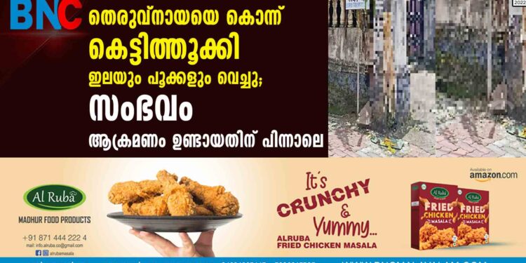 തെരുവ്നായയെ കൊന്ന് കെട്ടിത്തൂക്കി ഇലയും പൂക്കളും വെച്ചു; സംഭവം ആക്രമണം ഉണ്ടായതിന് പിന്നാലെ