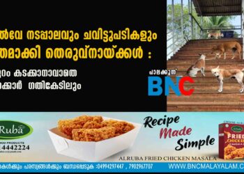 റയിൽവേ നടപ്പാലവും ചവിട്ടുപടികളും സ്വന്തമാക്കി തെരുവ്നായ്ക്കൾ : അപ്പുറം കടക്കാനാവാതെ യാത്രക്കാർ ഗതികേടിലും